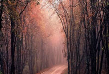 翻盘！西甲第4逆袭进欧联杯8强 尤文之后意甲又一队先甜后苦​.