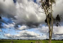 巴萨21世纪10大球星：梅西第1 埃托奥第10.