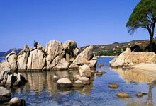 [国内球]张克璨独中两元 山东队晋级女决赛.